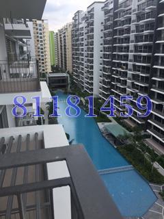 CityLife @ Tampines (D18), Condominium #116224542